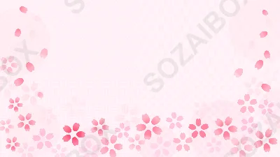 春を彩る桜の綺麗なフレーム背景　7
