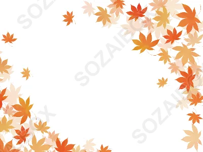 秋の素材　綺麗な紅葉のフレーム素材　12